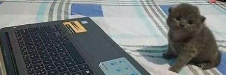humbzb's profile banner image