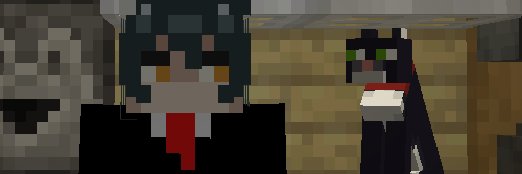 sleep deprived fellow 🇨🇦 banner