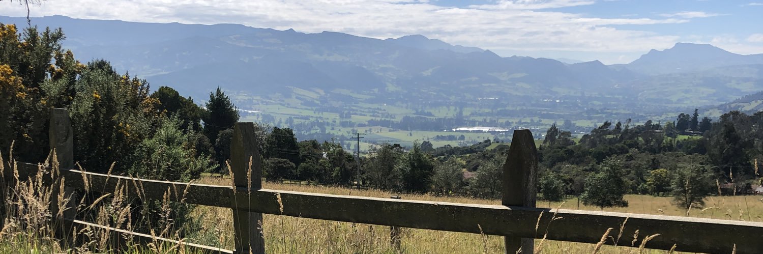 danielfesco's profile banner image