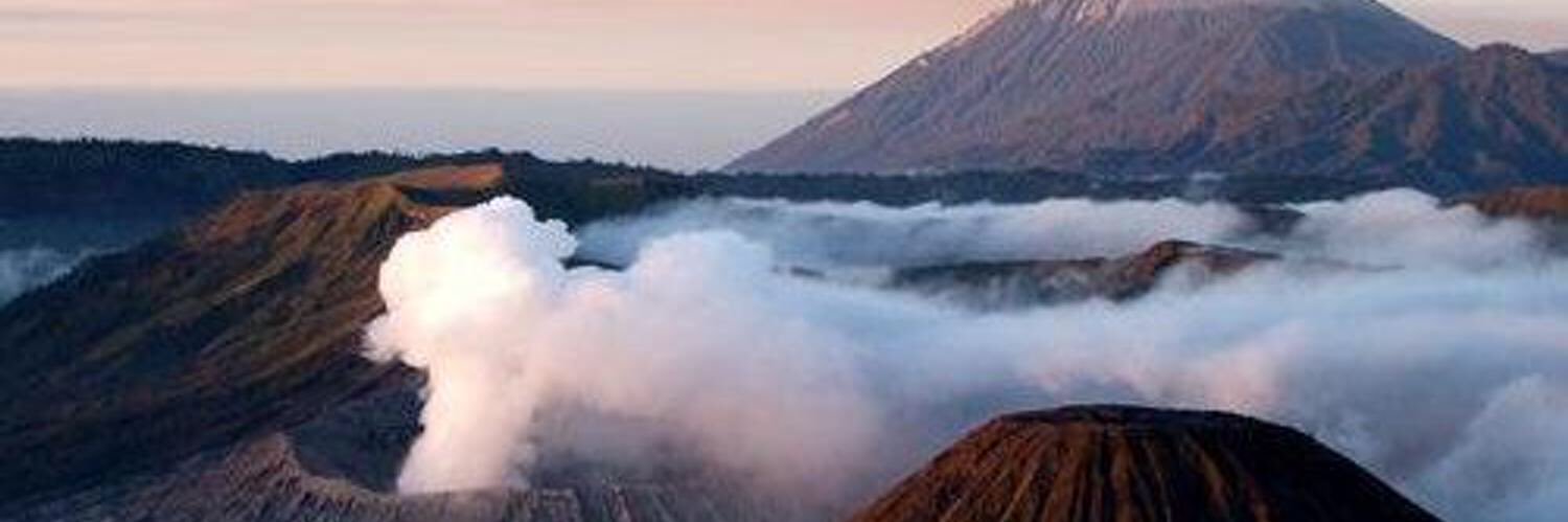 rosemary_ER's profile banner image