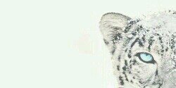 _wwatm_'s profile banner image