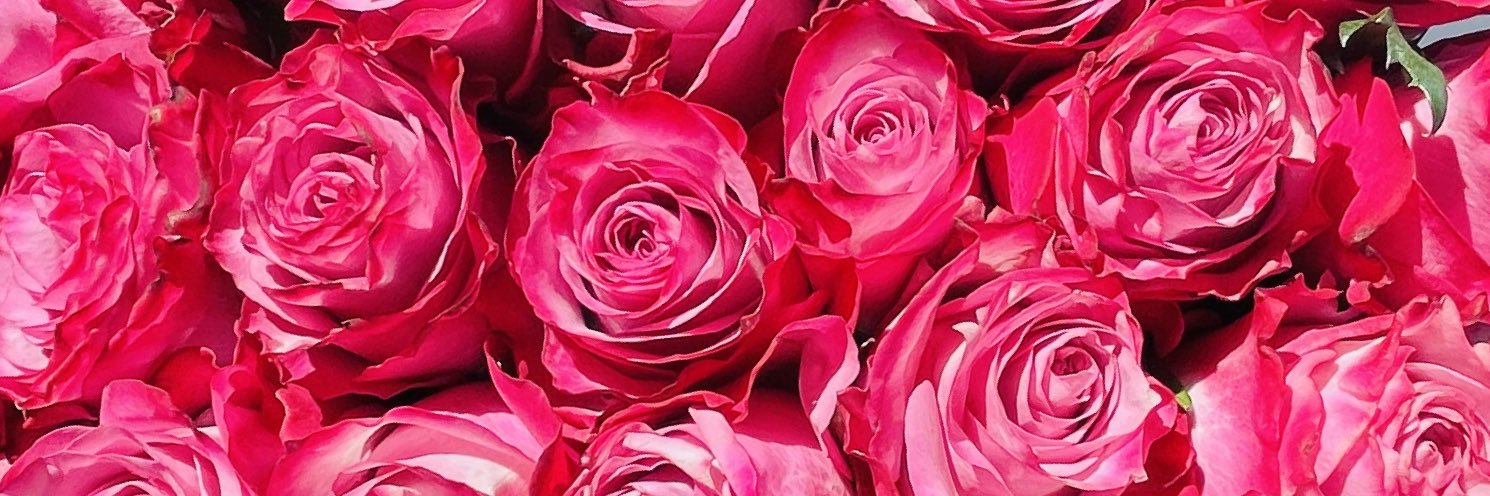 dimphomatlala's profile banner image