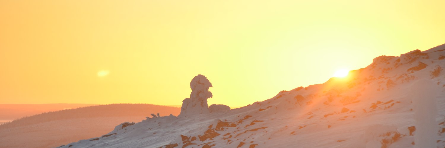 ilsekaaja's profile banner image