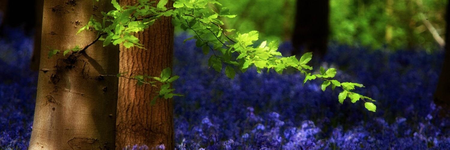 kim_pericles's profile banner image
