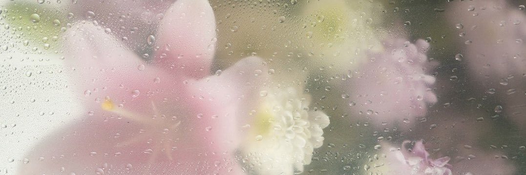 𝒶𝑚𝑜𝑢𝑟𝑎. banner