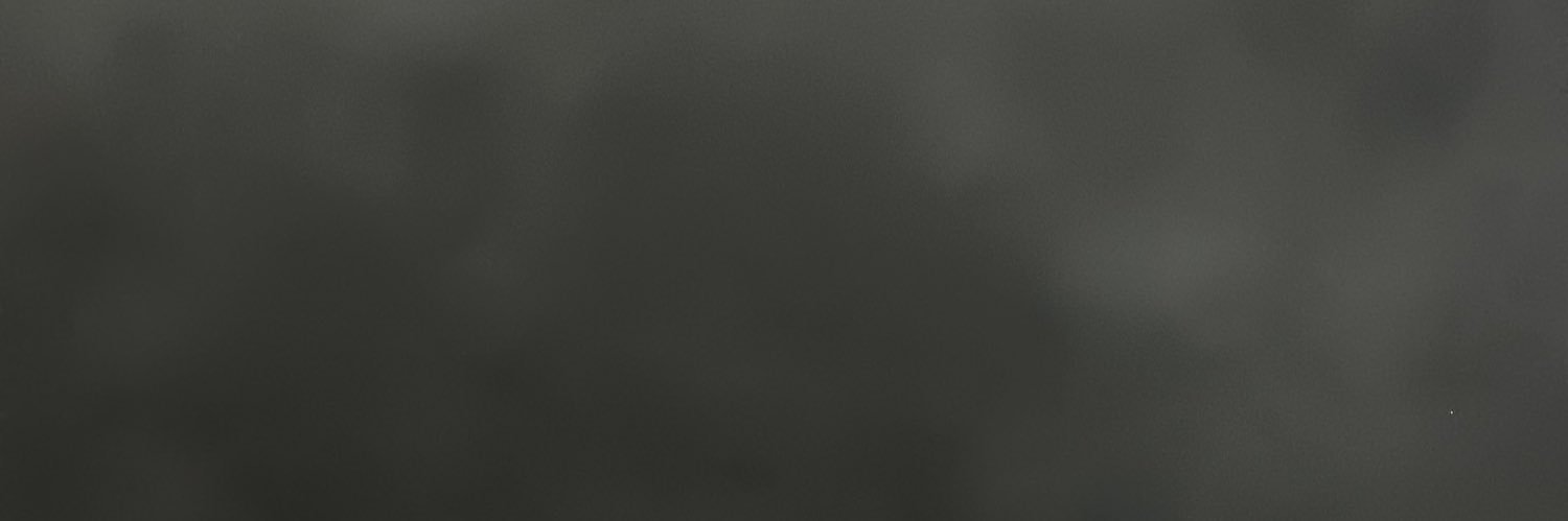 janessa banner