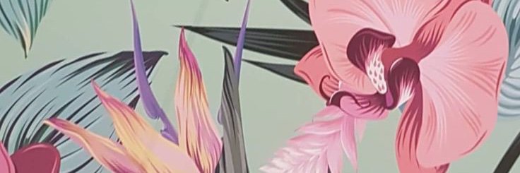 kaiini5's profile banner image