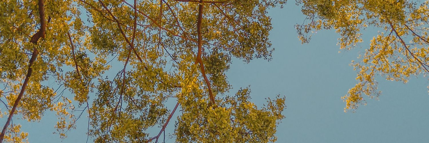13nrm_'s profile banner image