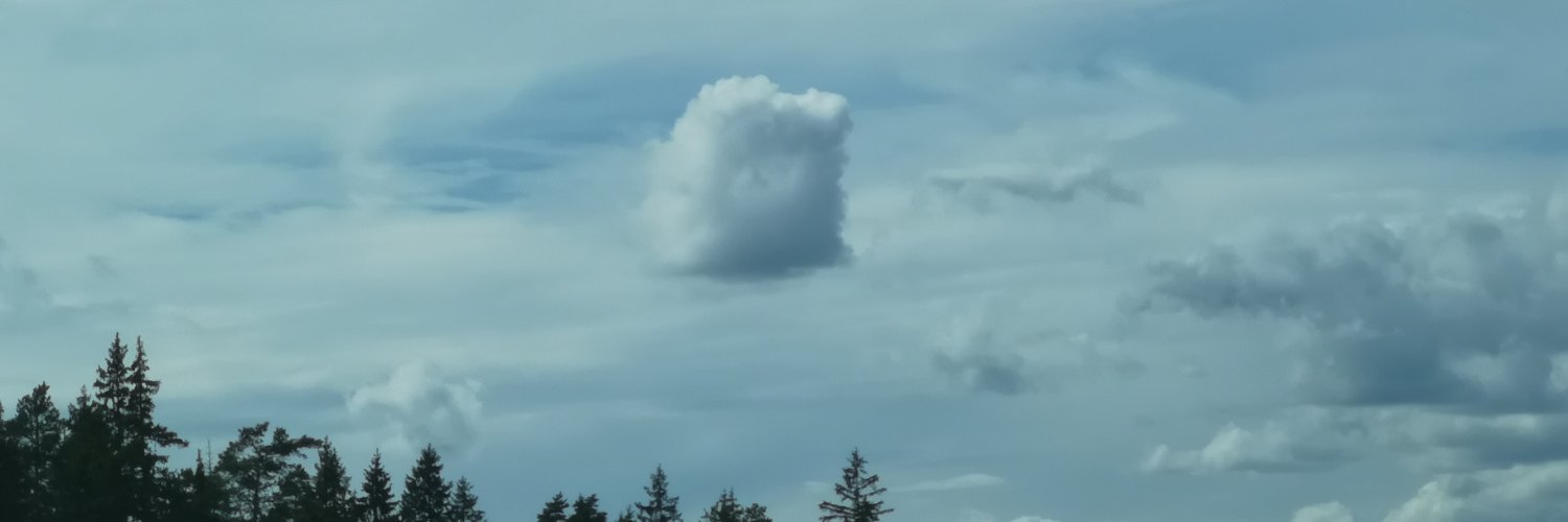 PetrToFeelBettr's profile banner image