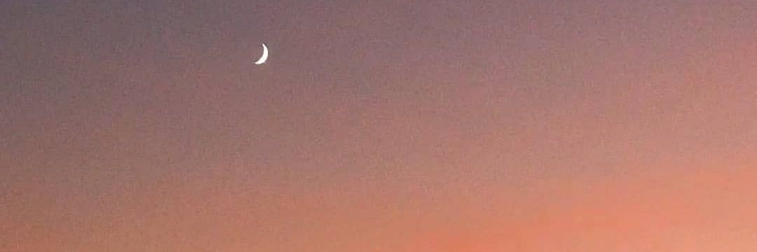adxniz's profile banner image