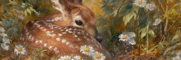 dearhee Profile Banner