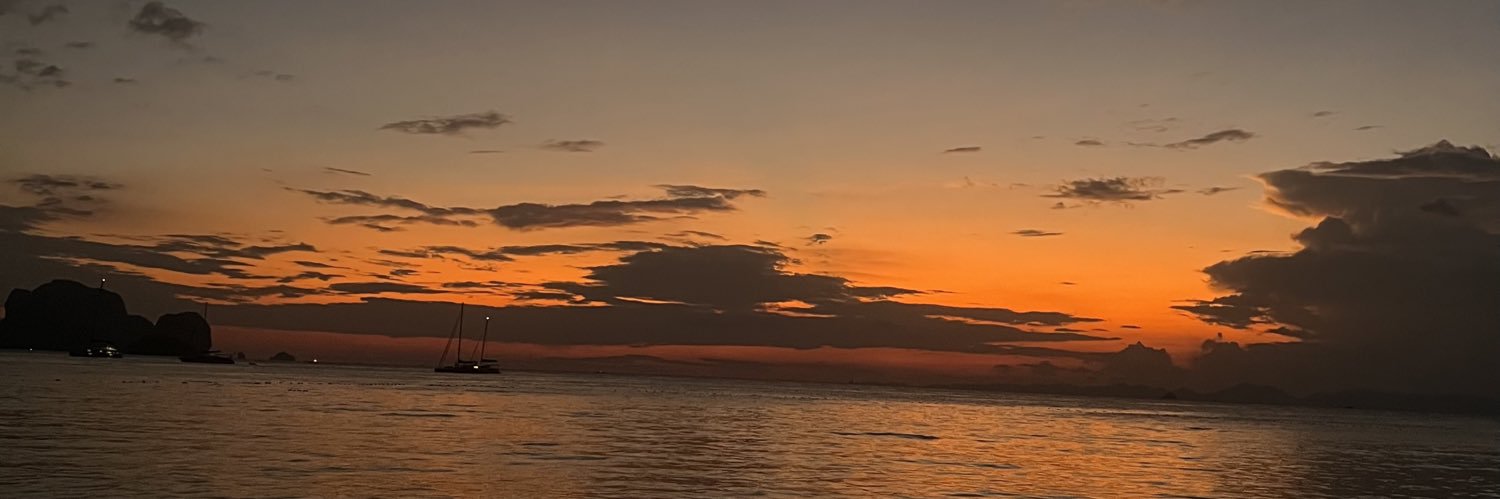 braisfit's profile banner image