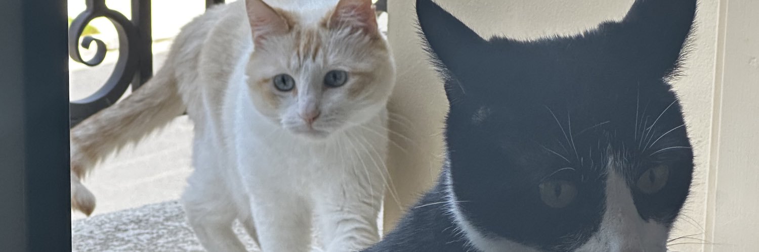 aluneeeeeeee's profile banner image