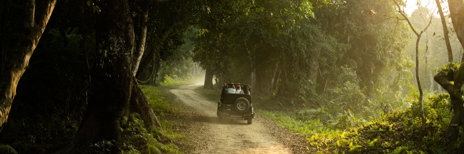 Viajes Forest banner