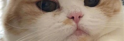 Wylienrdc's profile banner image