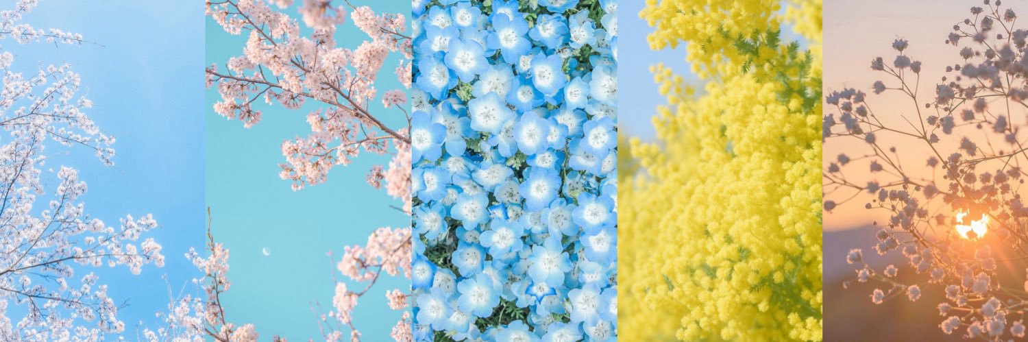 ノア | 𝘕𝘰𝘢𝘩's banner