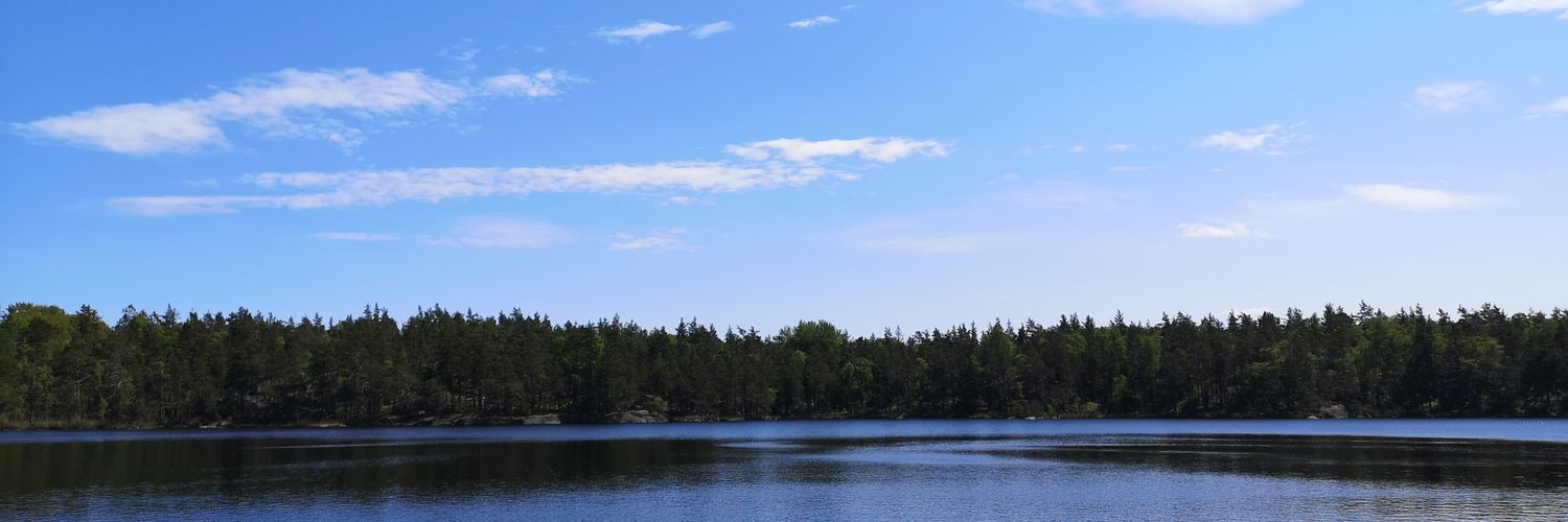 Swedish Society for Immunology (SWIMM) banner