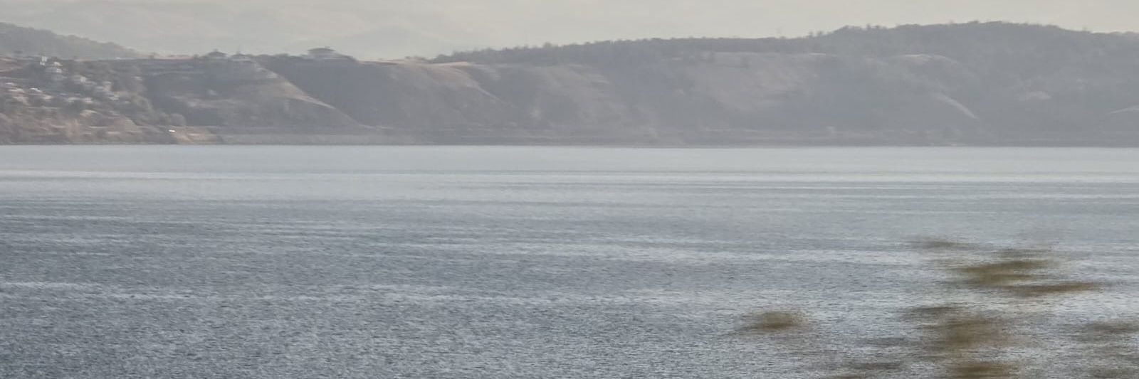 lenâ banner