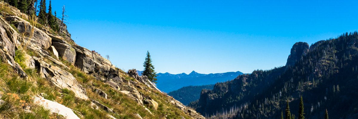 Jeffrey Jorgensen banner