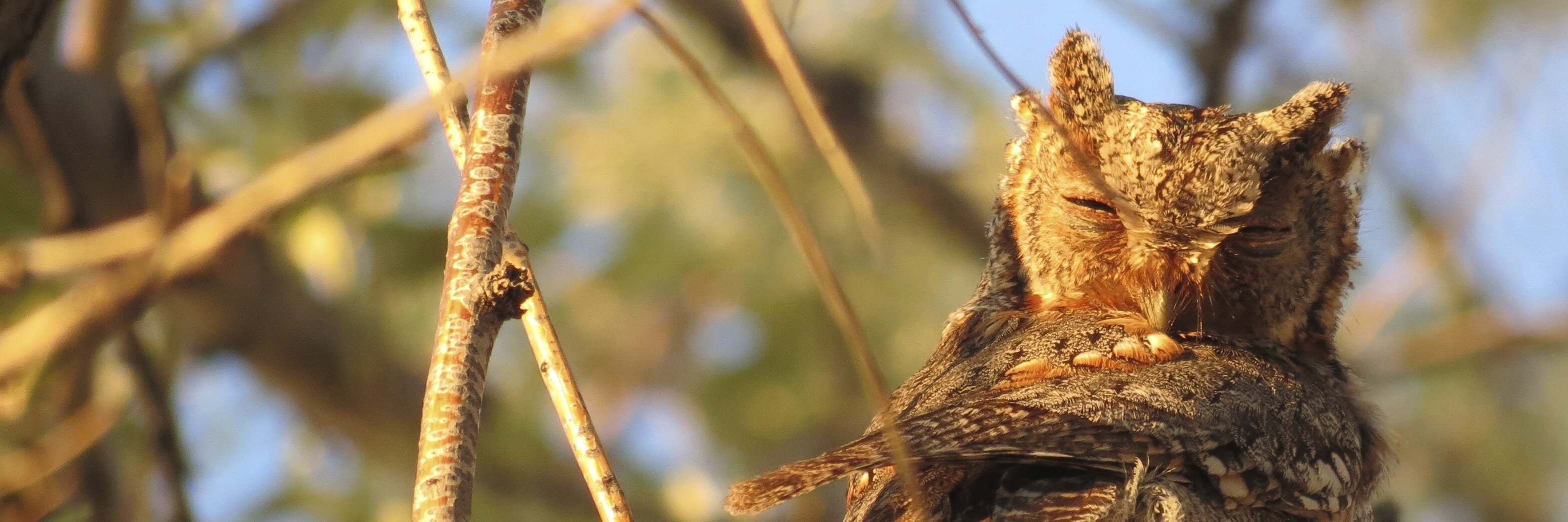 StacieMakeDo's profile banner image