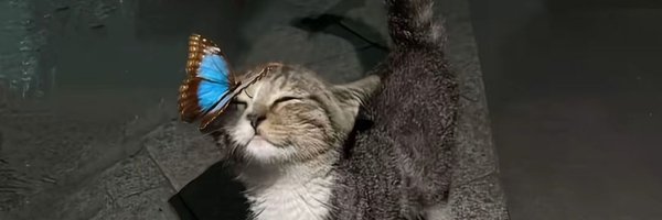 keruwich Profile Banner