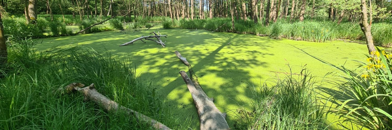 PolBol (Polish Barcode of Life) banner