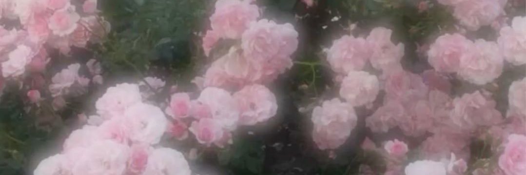 haru_imoau12's profile banner image