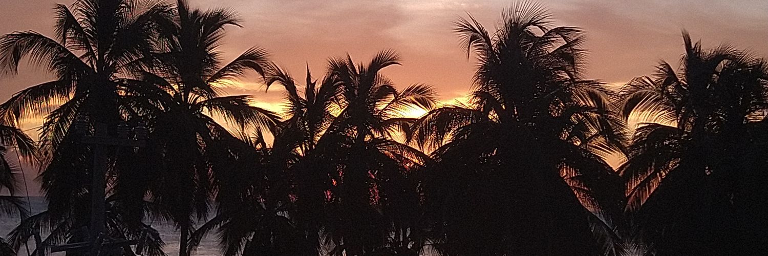 User not found banner