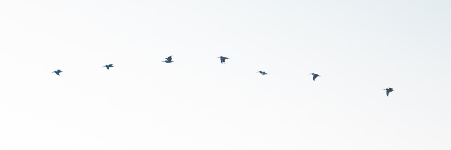 iskeaux's profile banner image