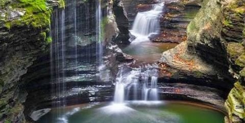 penyintasrejim banner