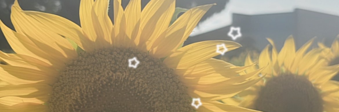 𝒎𝒊𝒏𝒊 banner