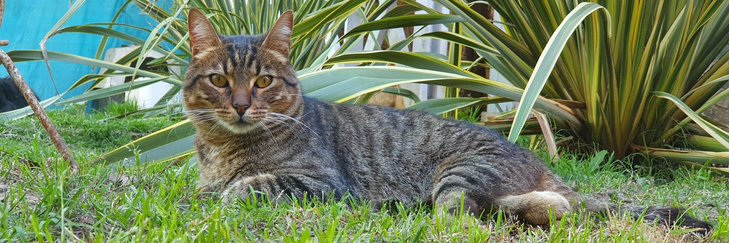 ESambre's profile banner image