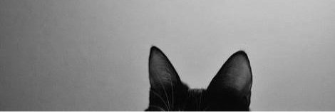 ishawiaryani's profile banner image