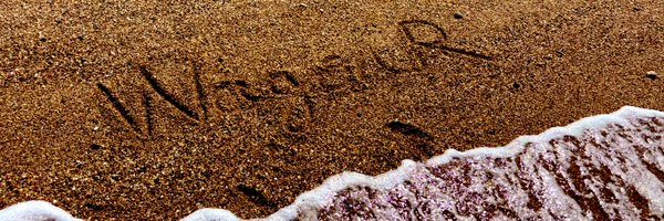 S_Ha23s Profile Banner