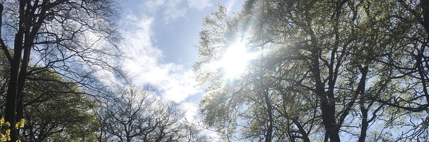 threebearsbaker's profile banner image