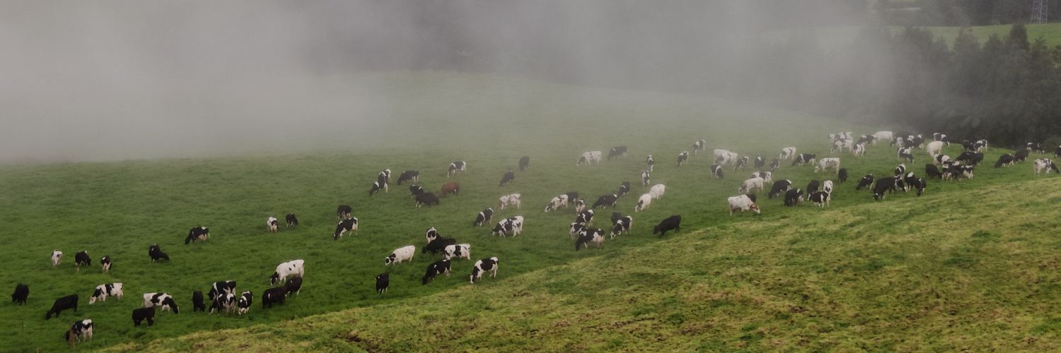 pastel de nastya banner