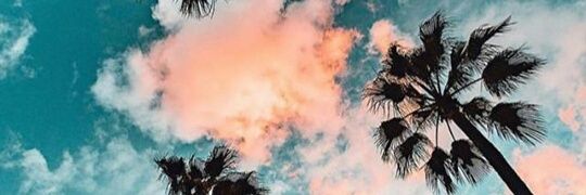 ddevyani16's profile banner image