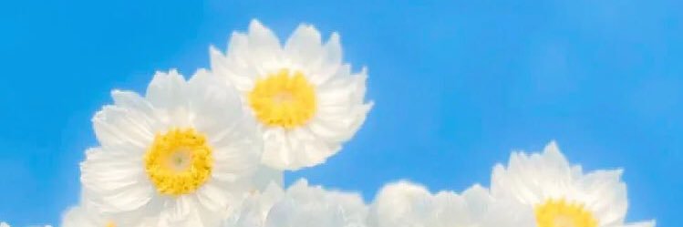mooonjellyfish_'s profile banner image