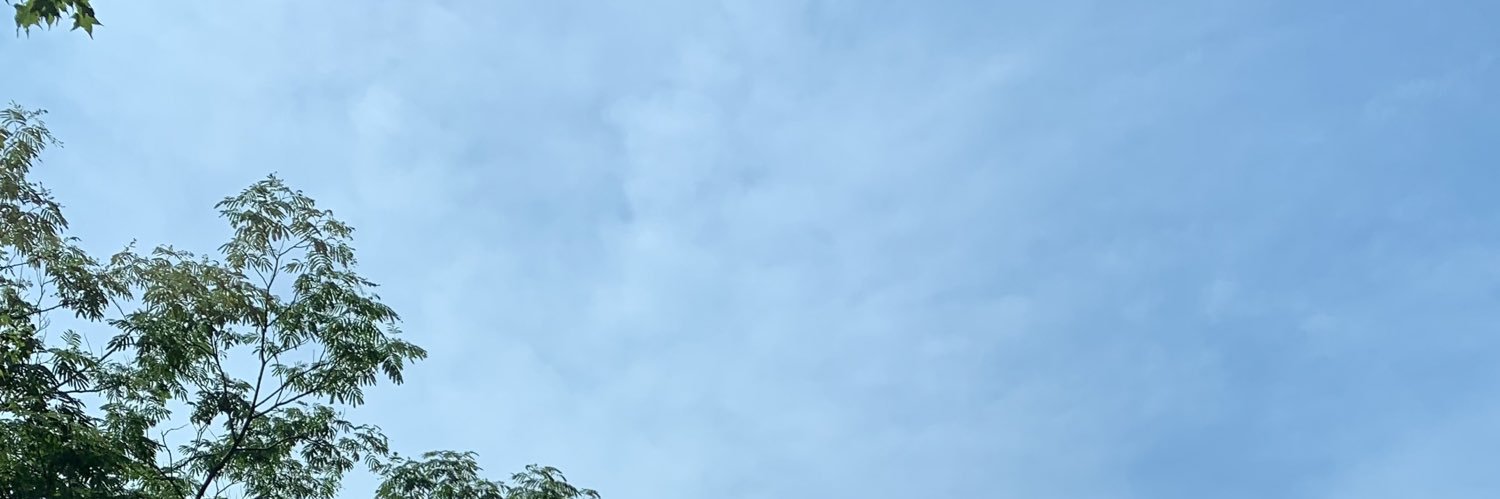 tamumi's profile banner image