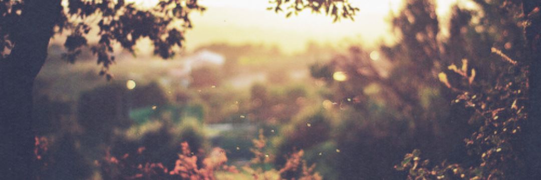 nitazxc's profile banner image
