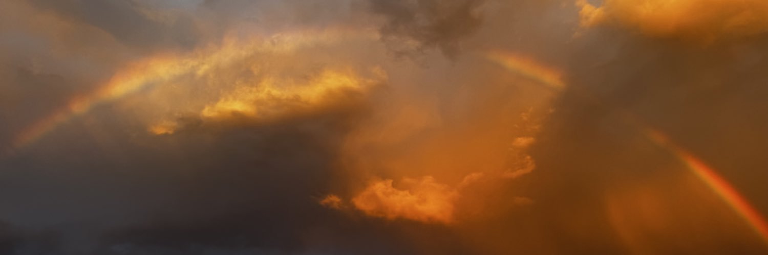 lemon drop 🕊️ banner