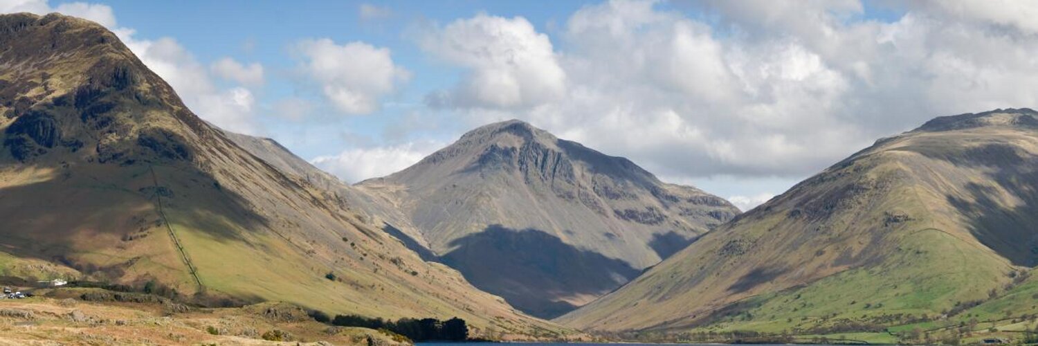 nemo 🦋 🦣 🐳 🃏 🥚 banner