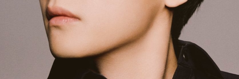 thvbeargrl's profile banner image