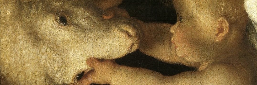 cece🥛☀️ banner