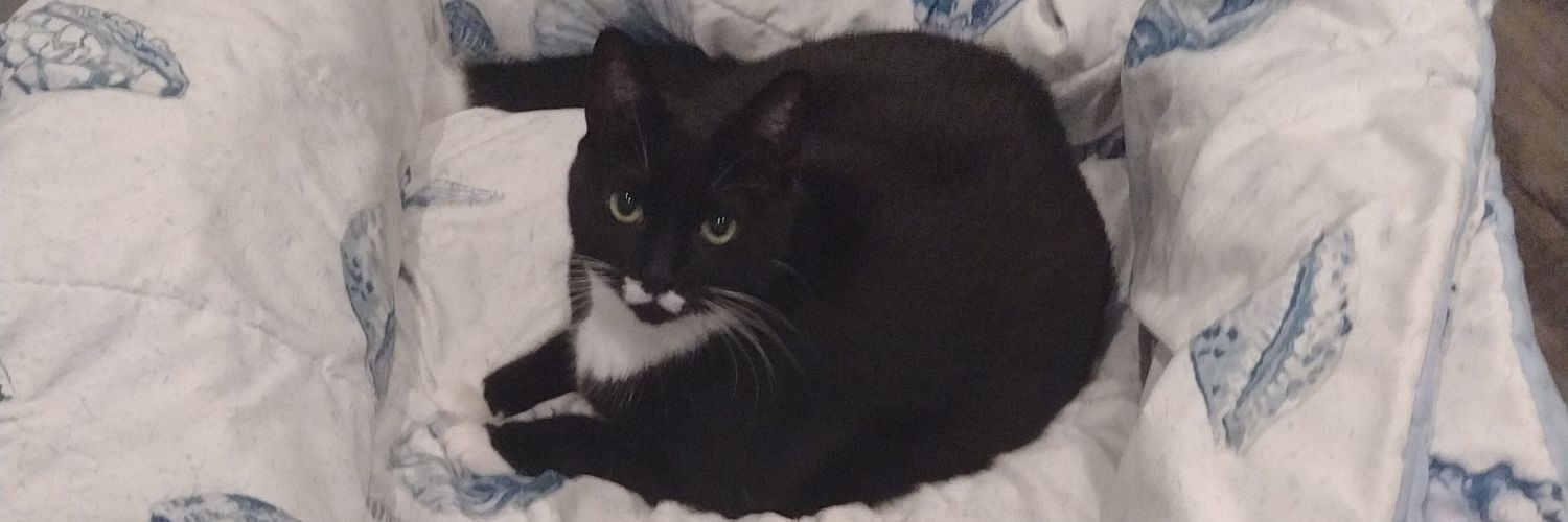 Jonathan Nebb🇺🇸 banner