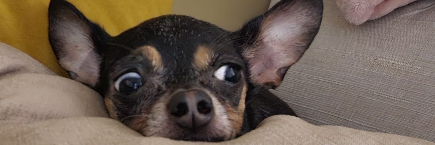 nadialm_'s profile banner image