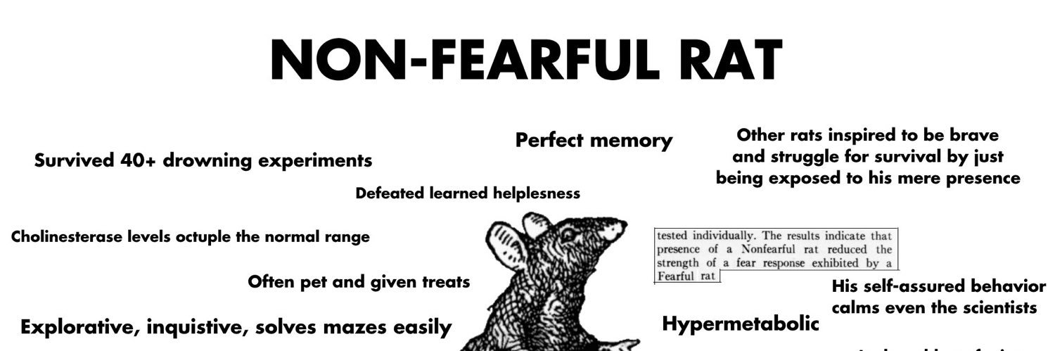 Non-Fearful Remy banner