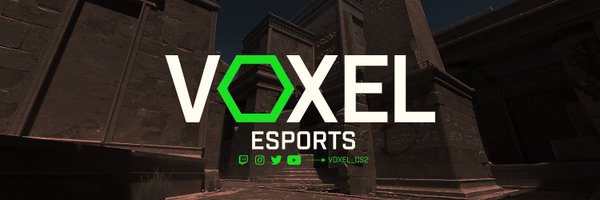 Voxel_CS2 Profile Banner