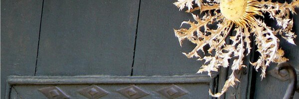 dmarchena Profile Banner