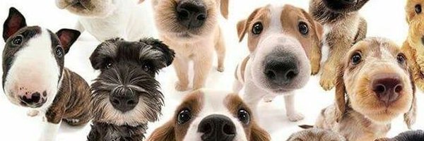 chvvy_ Profile Banner